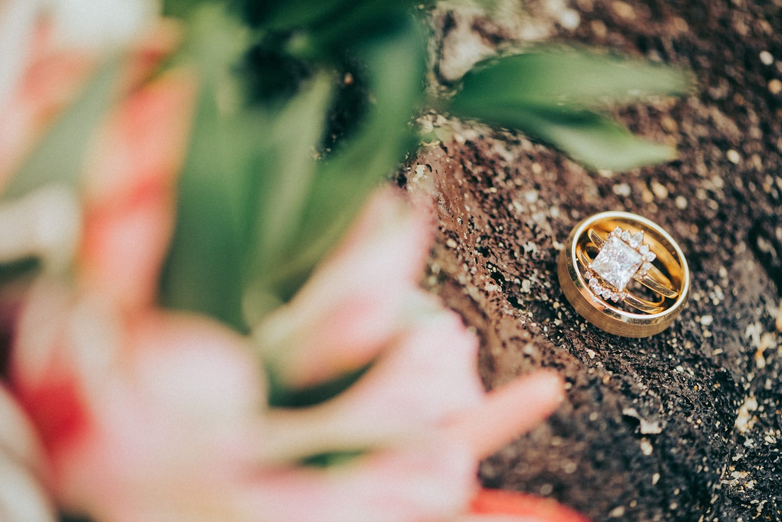 Two wedding rings on the lava rock at Makapu'u