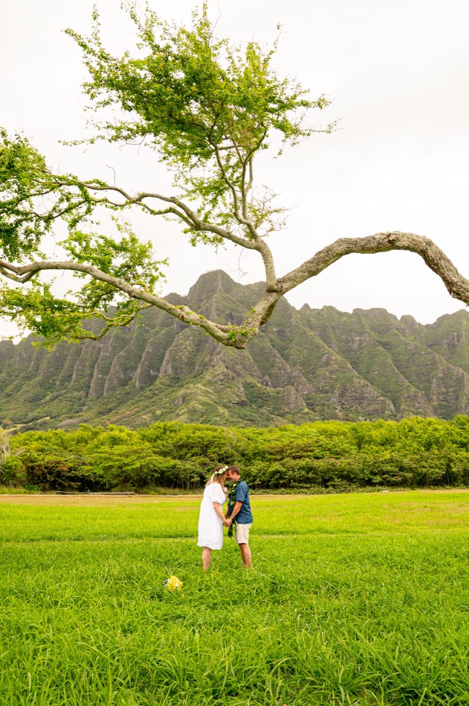 The ceremony at Kualoa, the Ko'olau mountains behind