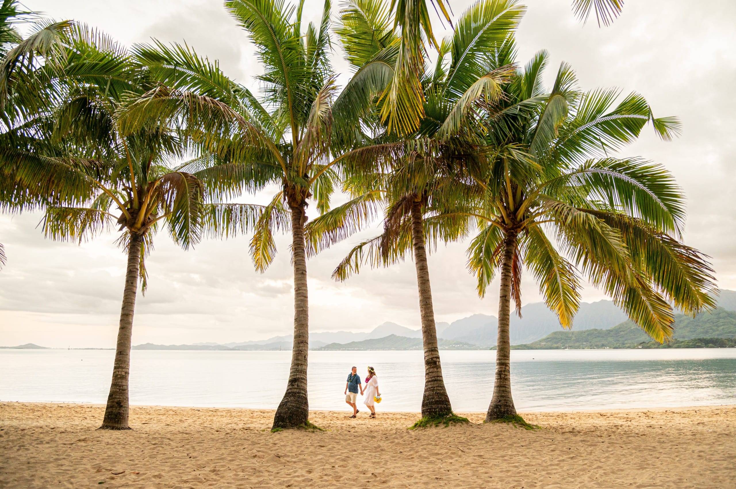 A couple walking hand in hand between the palms on the beach at Kualoa, Oahu